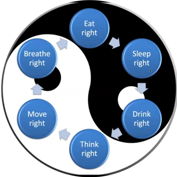 illustration of the 6 principles in a continuous cycle overtop of a yin-yang symbol